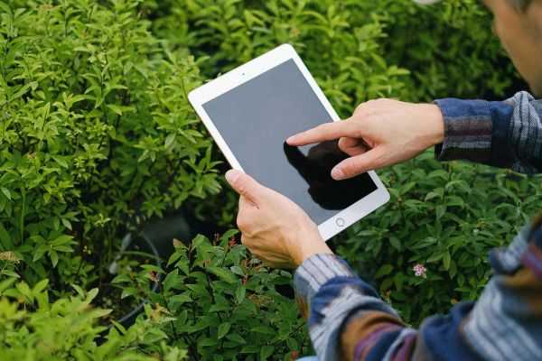 AI in Agriculture: Smart Farming Solutions